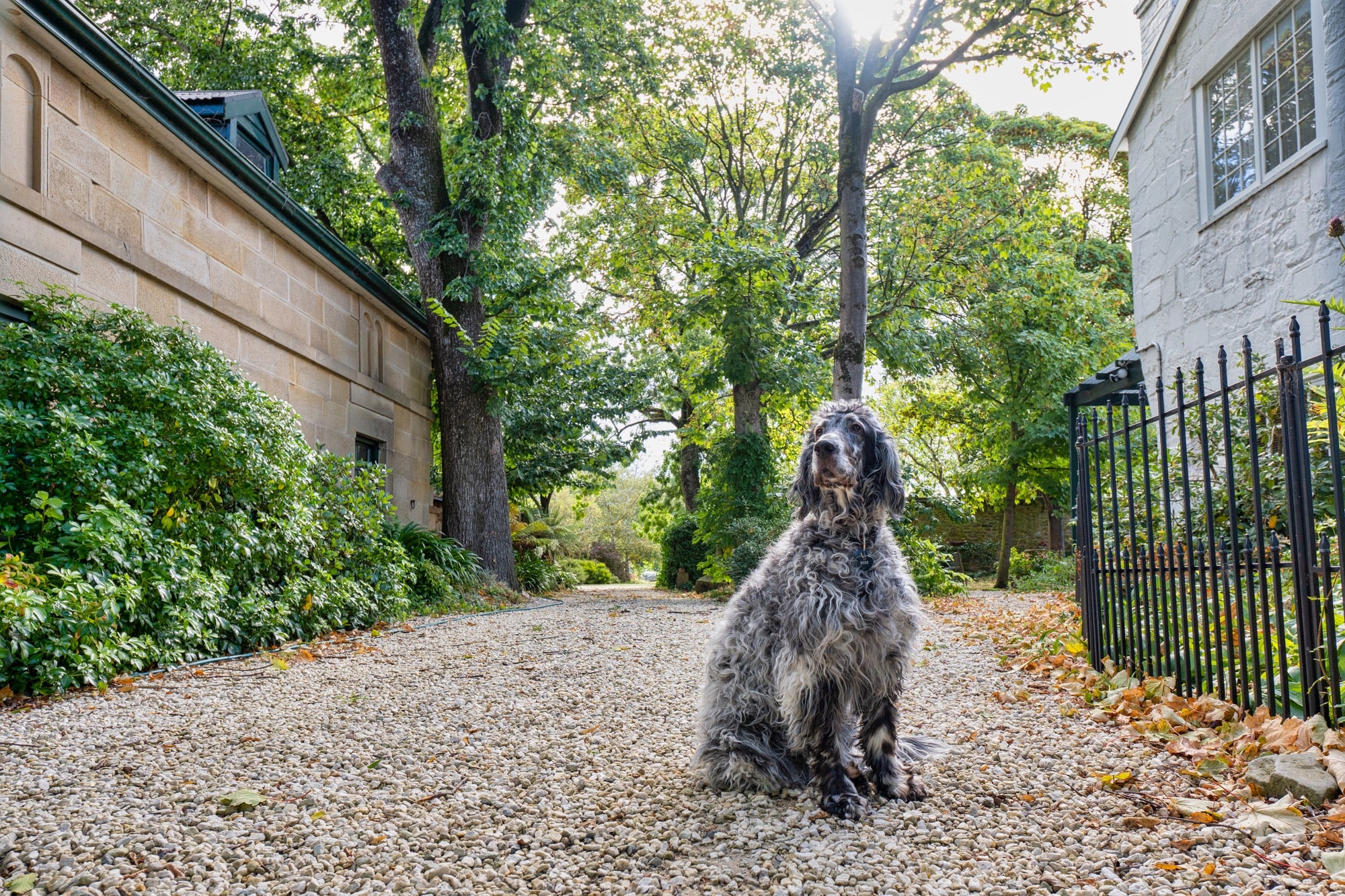 B060R | Tamron 11-20mm F/2.8 Di III-A RXD (APS-C Mirrorless) for Canon RF