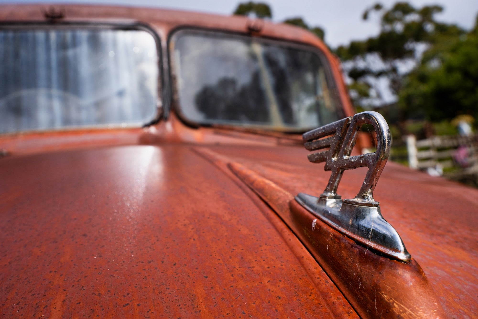 B060R | Tamron 11-20mm F/2.8 Di III-A RXD (APS-C Mirrorless) for Canon RF