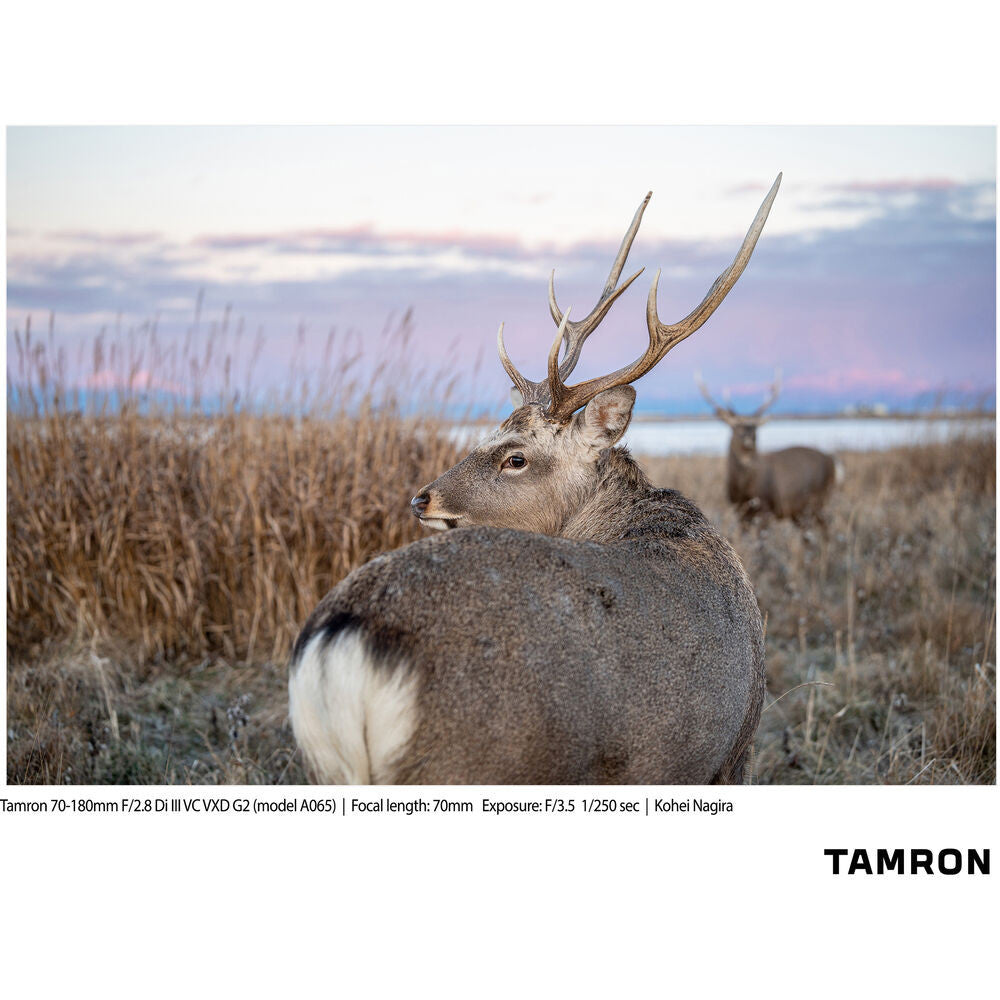 A065Z | Tamron 70-180mm f/2.8 Di III VC VXD G2 w/ Hood for Nikon Z