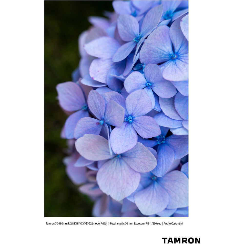 A065Z | Tamron 70-180mm f/2.8 Di III VC VXD G2 w/ Hood for Nikon Z